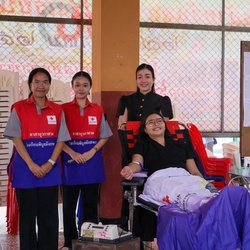 วันที่ 21 พฤศจิกายน 2568 บรรยากาศบริจาคโลหิต ณ โรงเรียนพิบูลมังสาหาร